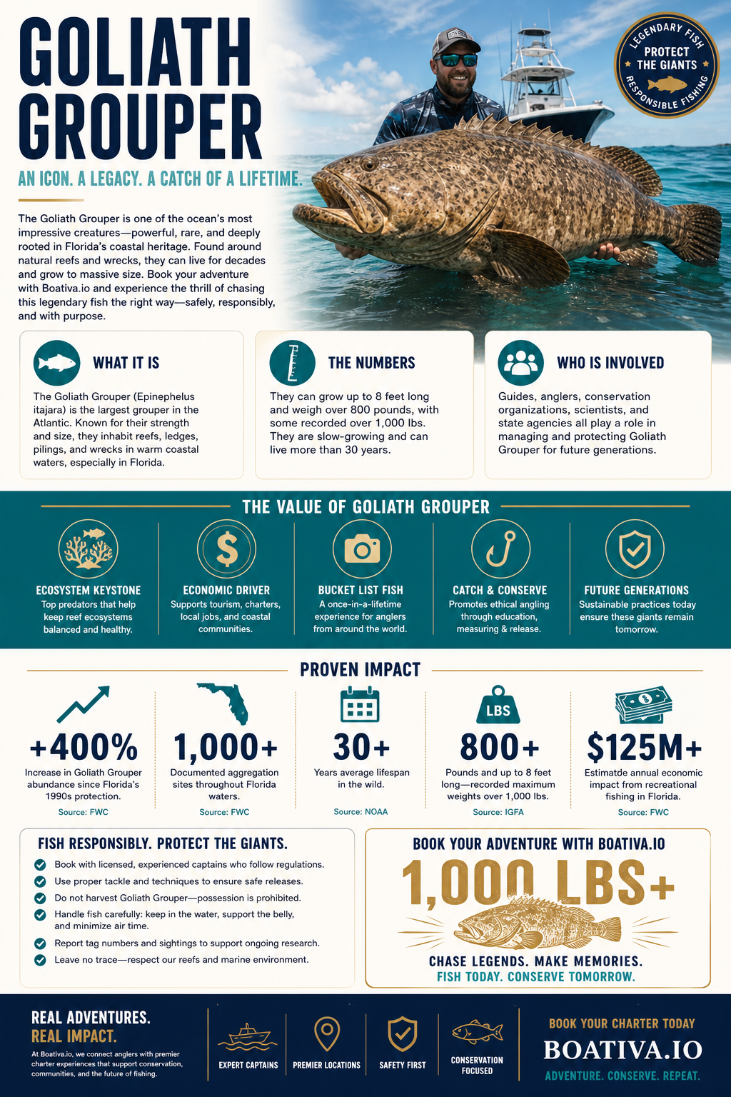 Goliath Grouper: Giant of the Atlantic - Identification, Conservation, and Fishing Charters
